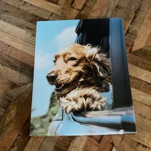 Man’s Best Friend canvas